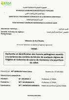 Image de couverture locale