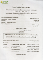 Image de couverture locale