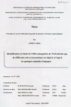 Image de couverture locale