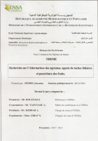 Image de couverture locale