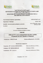 Image de couverture locale