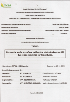 Image de couverture locale