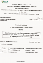 Image de couverture locale
