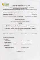 Image de couverture locale