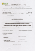 Image de couverture locale