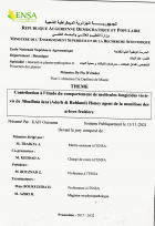 Image de couverture locale
