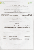 Image de couverture locale