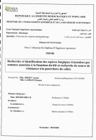 Image de couverture locale