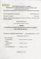 Image de couverture locale