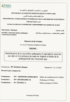 Image de couverture locale