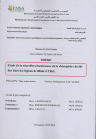 Image de couverture locale