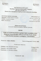Image de couverture locale