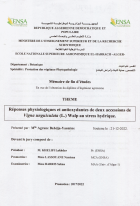 Image de couverture locale
