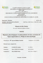 Image de couverture locale