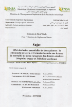 Image de couverture locale