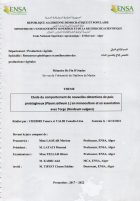 Image de couverture locale
