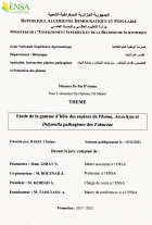 Image de couverture locale