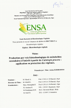 Image de couverture locale