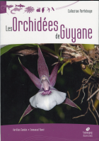 Image de couverture locale