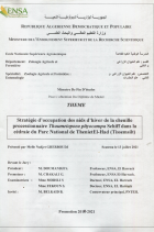 Image de couverture locale