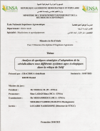 Image de couverture locale