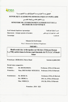 Image de couverture locale