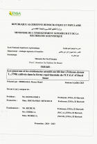 Image de couverture locale