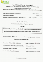 Image de couverture locale