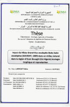 Image de couverture locale