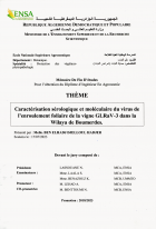 Image de couverture locale