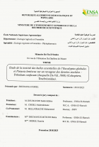 Image de couverture locale