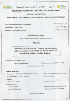 Image de couverture locale