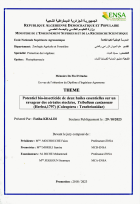 Image de couverture locale