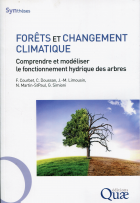 Image de couverture locale
