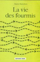 Image de couverture locale