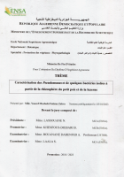 Image de couverture locale