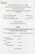 Image de couverture locale