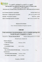 Image de couverture locale