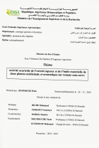 Image de couverture locale