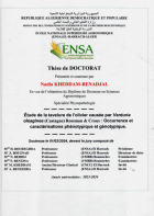 Image de couverture locale