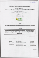 Image de couverture locale