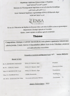 Image de couverture locale