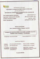 Image de couverture locale