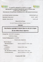 Image de couverture locale