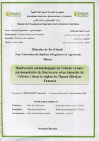 Image de couverture locale