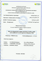 Image de couverture locale