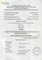 Image de couverture locale