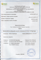 Image de couverture locale