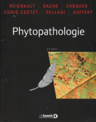 Image de couverture locale