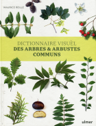 Image de couverture locale